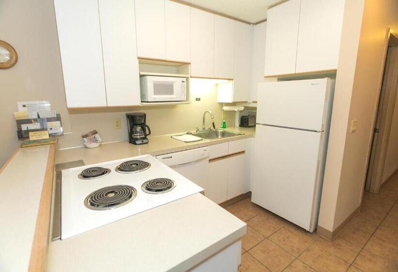 غرفه قياسيه سريرين مزدوجين, Grey Gull