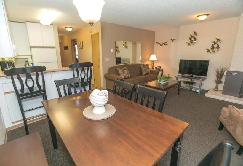 غرفه قياسيه سريرين مزدوجين, Grey Gull