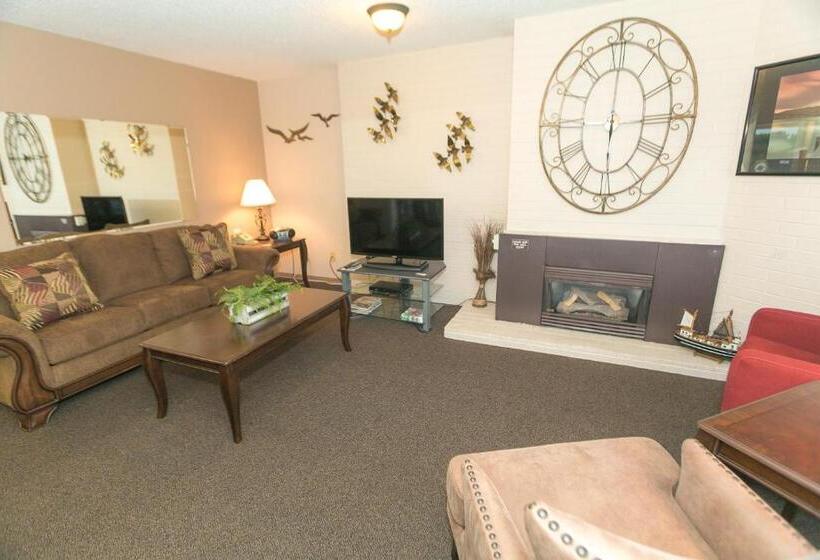 غرفه قياسيه سريرين مزدوجين, Grey Gull