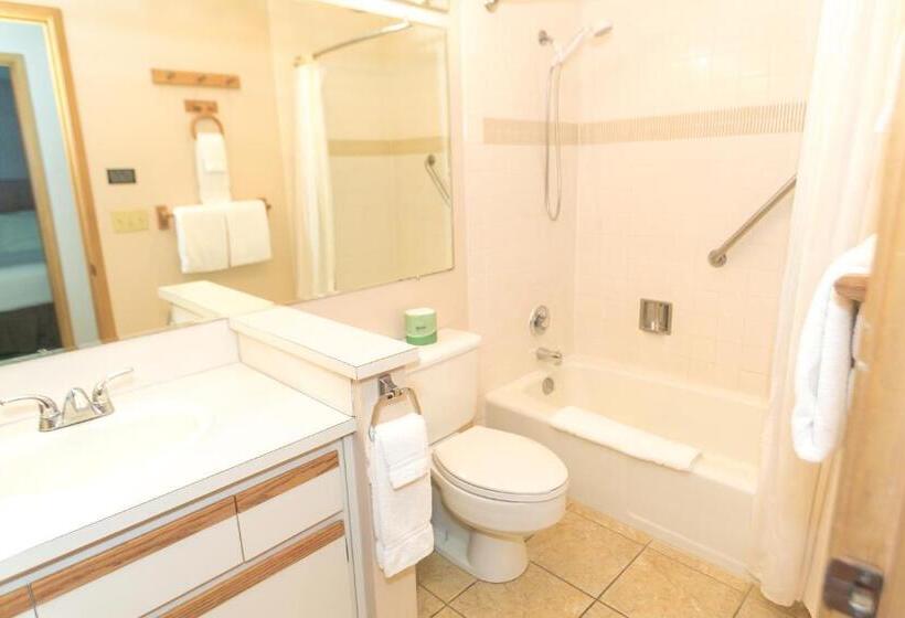 جناح سرير كينج, Grey Gull