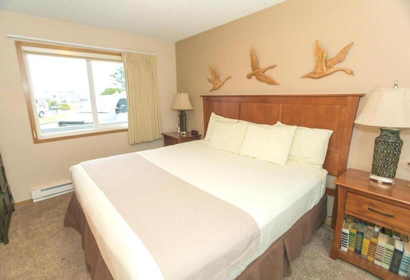 جناح سرير كينج, Grey Gull