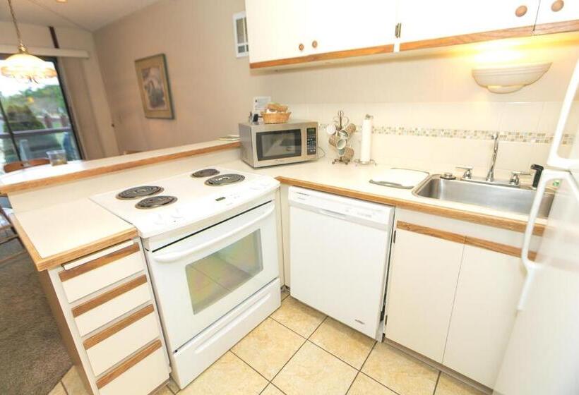 جناح سرير كينج, Grey Gull