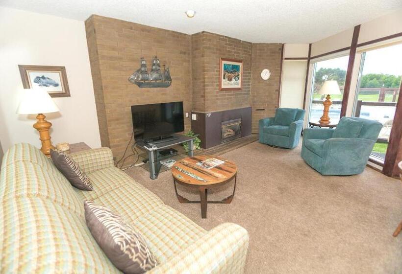 جناح سرير كينج, Grey Gull