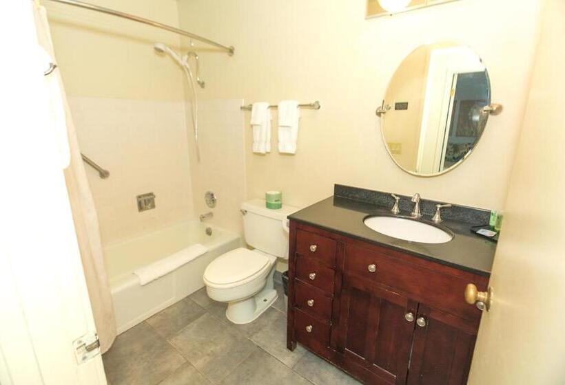 جناح سرير كينج, Grey Gull