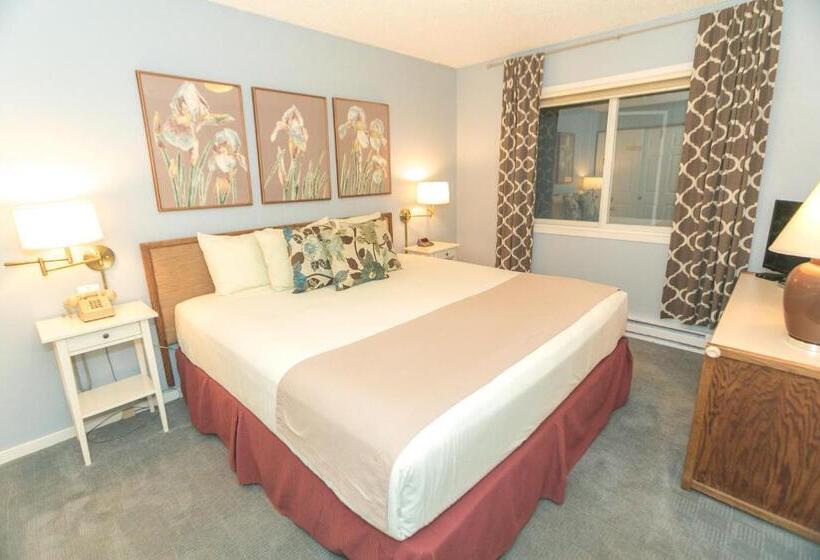 جناح سرير كينج, Grey Gull