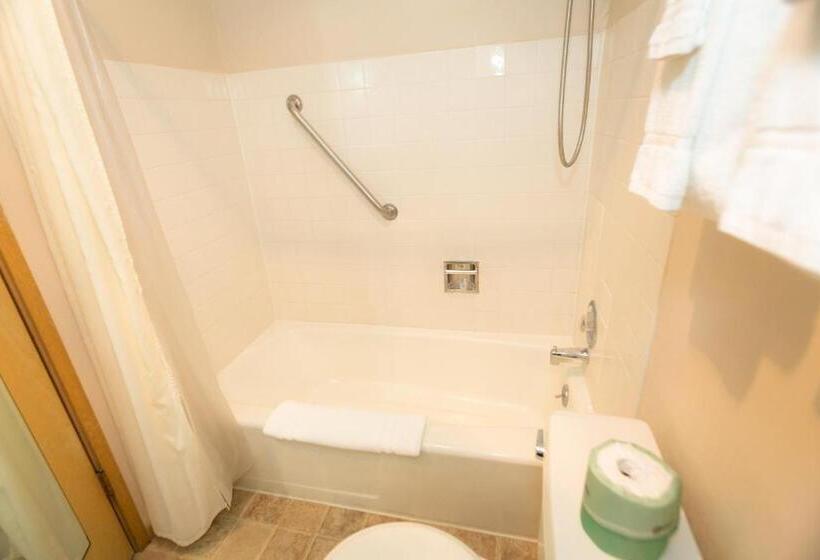 إستوديو قياسى سرير كينج, Grey Gull