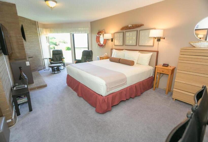 إستوديو قياسى سرير كينج, Grey Gull