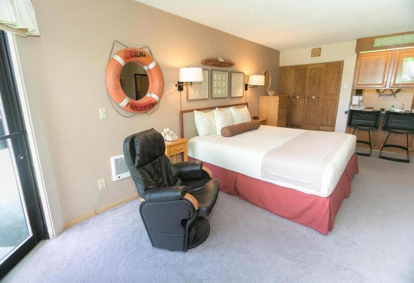 إستوديو قياسى سرير كينج, Grey Gull