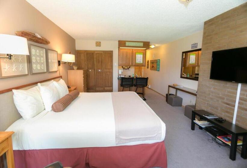 إستوديو قياسى سرير كينج, Grey Gull