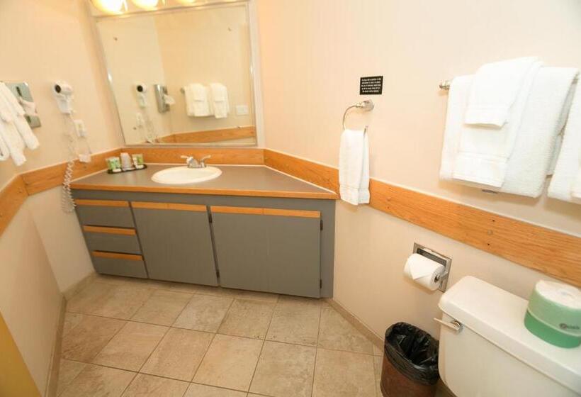 شقة ديلوكس غرفة واحدة, Grey Gull