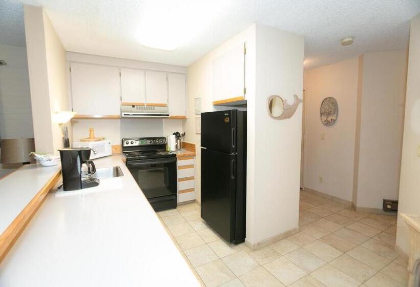 شقة ديلوكس غرفة واحدة, Grey Gull