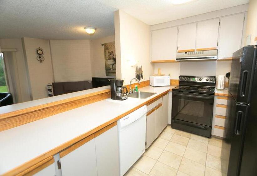 شقة ديلوكس غرفة واحدة, Grey Gull