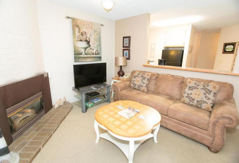 شقة ديلوكس غرفة واحدة, Grey Gull