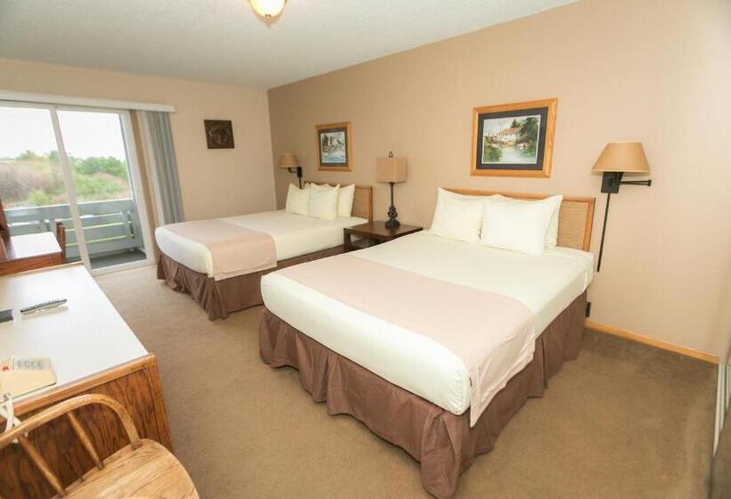 شقة غرفة نوم واحدة مزودة بشُرفة, Grey Gull