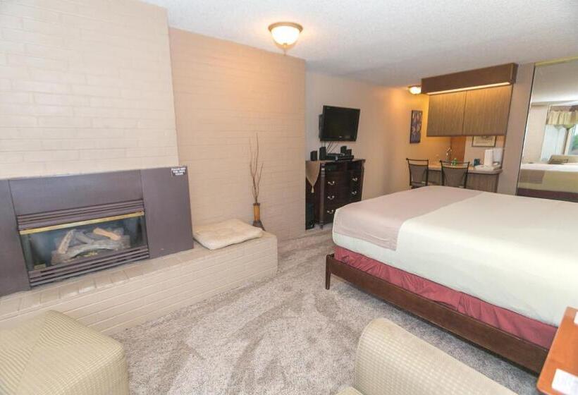 إستديو قياسى مزود بشرفة, Grey Gull