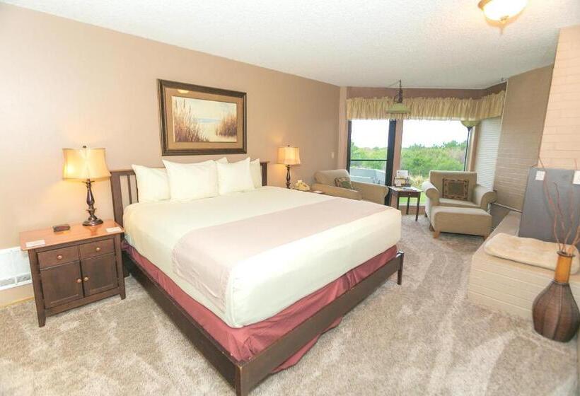 إستديو قياسى مزود بشرفة, Grey Gull