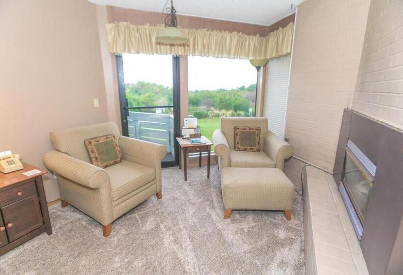 إستديو قياسى مزود بشرفة, Grey Gull