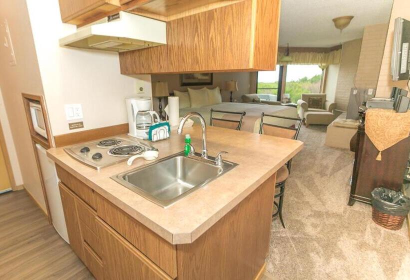 إستديو قياسى مزود بشرفة, Grey Gull