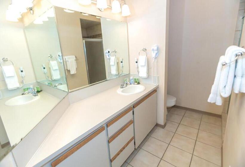 شقة غرفتين نوم مزودة بشُرفة, Grey Gull