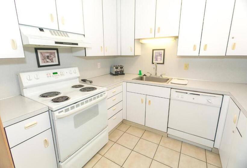 شقة غرفتين نوم مزودة بشُرفة, Grey Gull