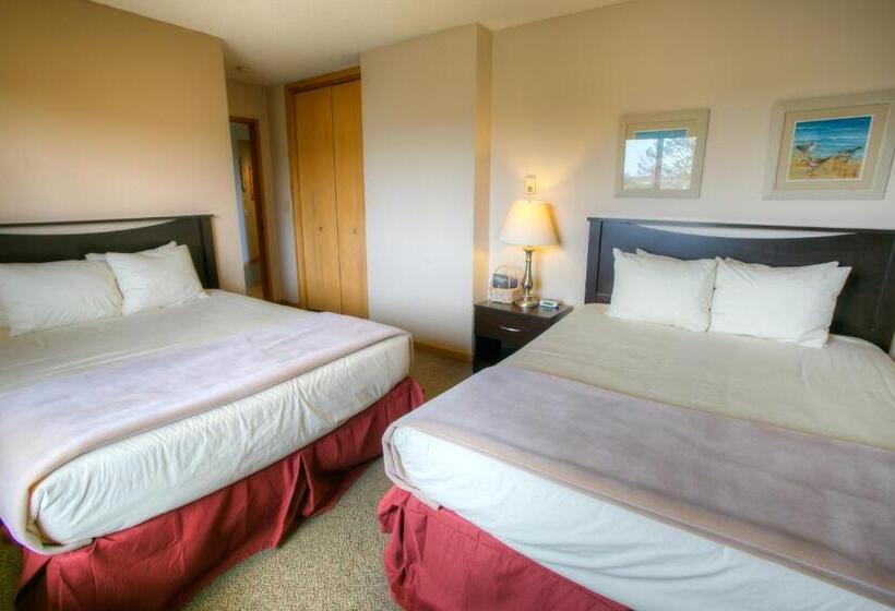 شقة غرفتين نوم مزودة بشُرفة, Grey Gull