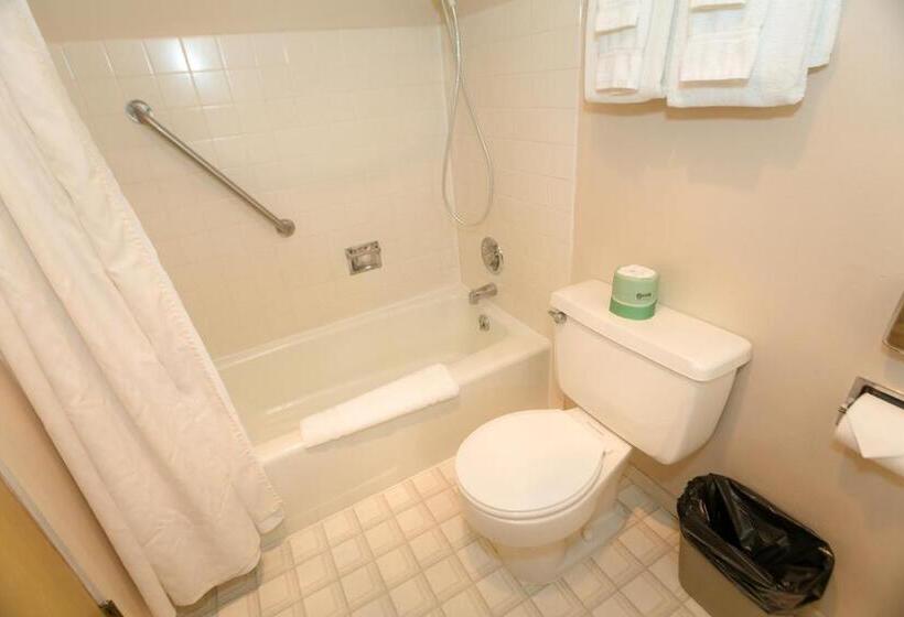 إستوديو قياسى سرير كينج, Grey Gull