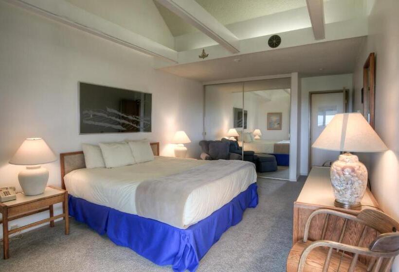 شقة ديلوكس غرفة نوم واحدة مطلة على البحر, Grey Gull