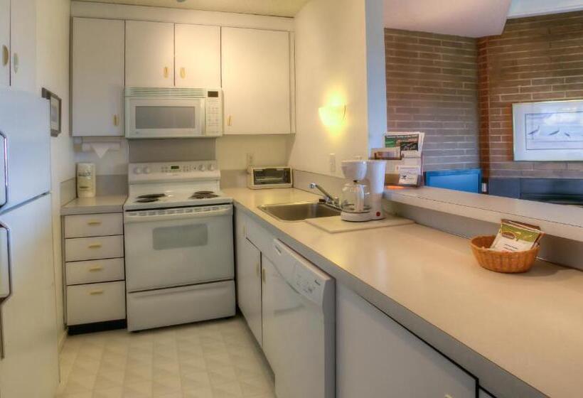 شقة ديلوكس غرفة نوم واحدة مطلة على البحر, Grey Gull