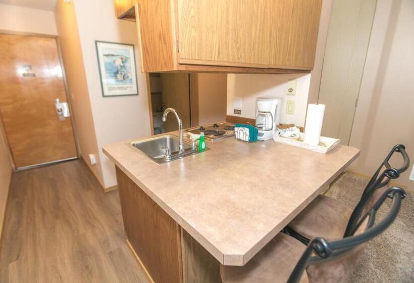 إستوديو قياسى مطل على البحر, Grey Gull