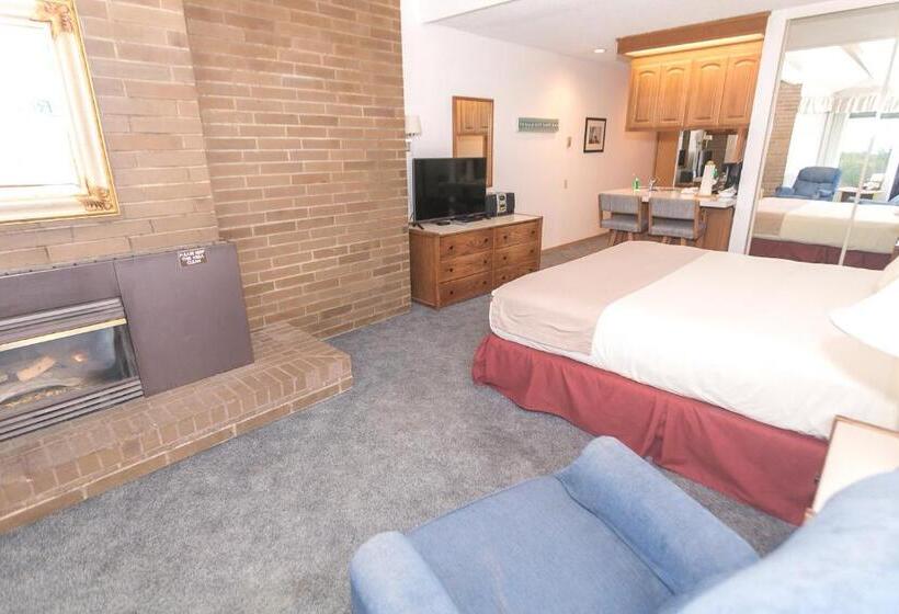 إستوديو قياسى مطل على البحر, Grey Gull