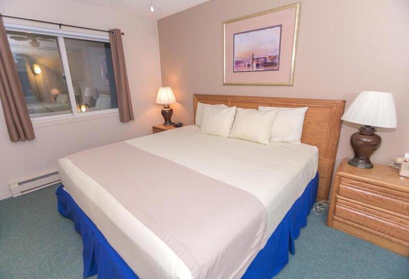 شقة غرفة واحدة مطلة على البحر, Grey Gull