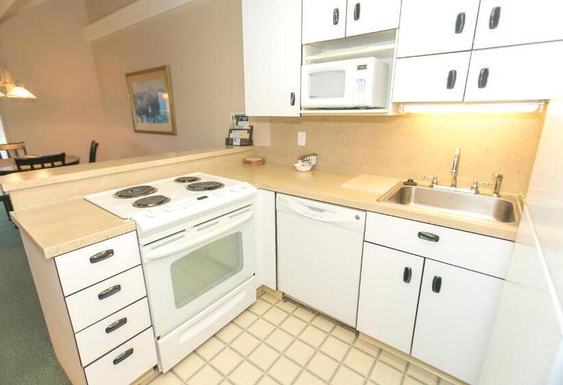 شقة غرفة واحدة مطلة على البحر, Grey Gull