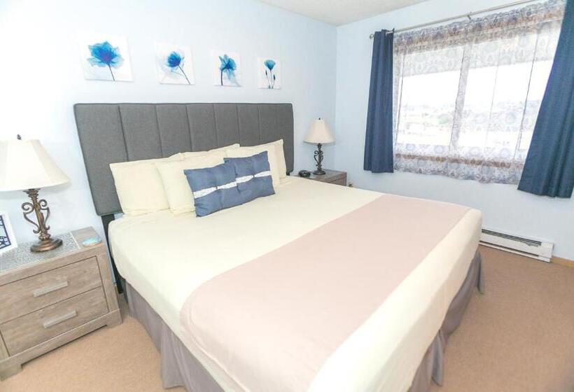 شقة غرفة واحدة مطلة على البحر, Grey Gull