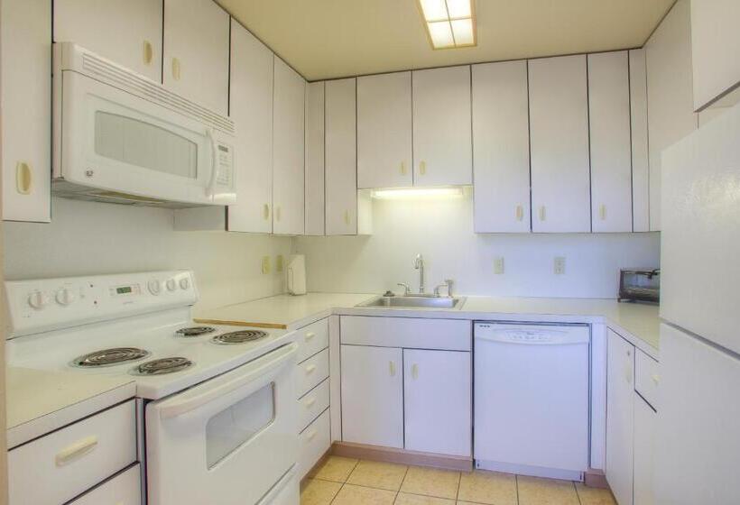 شقة دور أخير غرفة نوم واحدة, Grey Gull