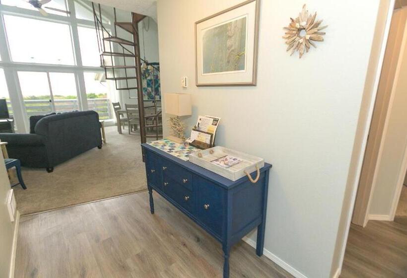 شقة دور أخير غرفة نوم واحدة, Grey Gull