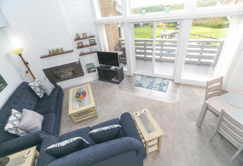 شقة دور أخير غرفة نوم واحدة, Grey Gull