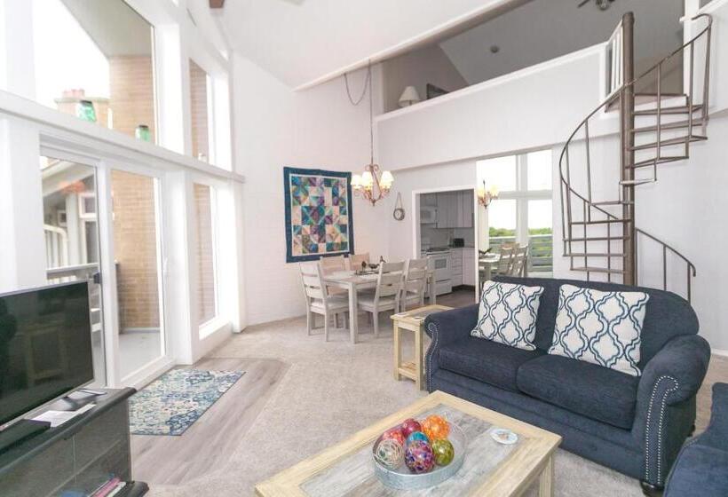 شقة دور أخير غرفة نوم واحدة, Grey Gull