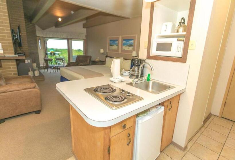 إستوديو قياسى مطل على البحر, Grey Gull