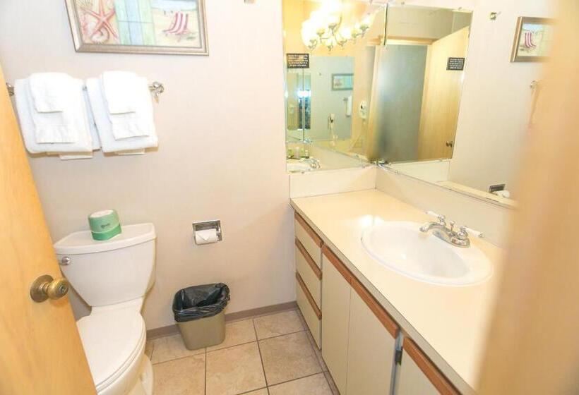 إستوديو قياسى مطل على البحر, Grey Gull