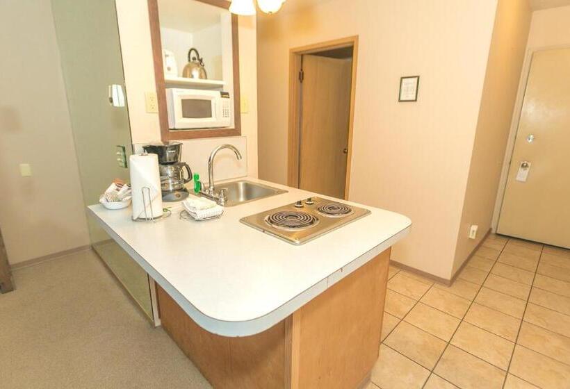 إستوديو قياسى مطل على البحر, Grey Gull