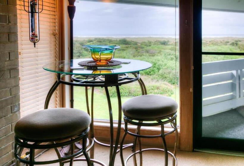 إستوديو قياسى مطل على البحر, Grey Gull