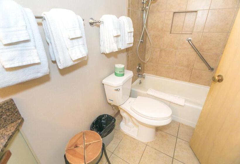 شقة ديلوكس غرفة نوم واحدة مطلة على البحر, Grey Gull