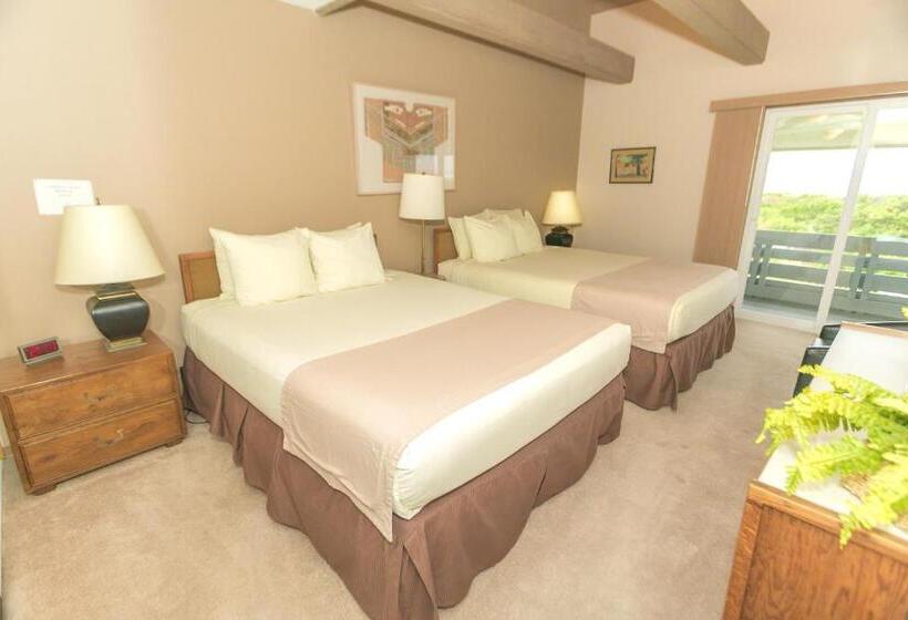 شقة ديلوكس غرفة نوم واحدة مطلة على البحر, Grey Gull