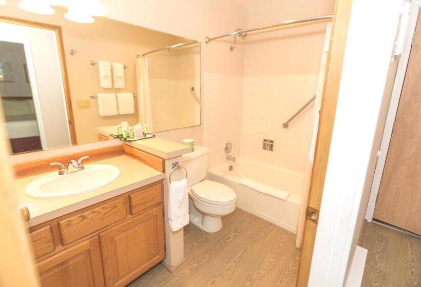 شقة غرفة واحدة مطلة على حمام السباحة, Grey Gull