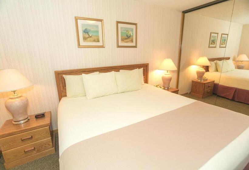 شقة غرفة واحدة مطلة على حمام السباحة, Grey Gull