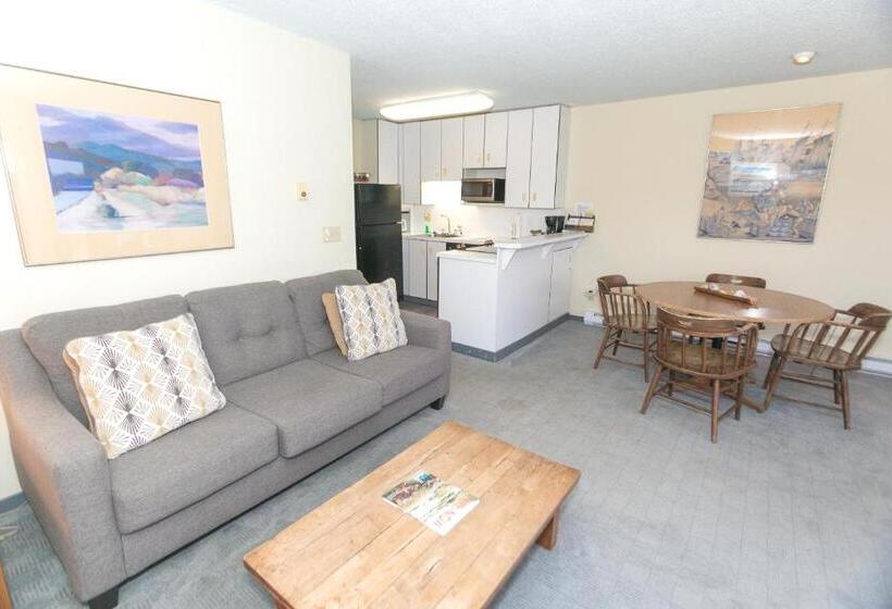 جناح سرير كينج, Grey Gull