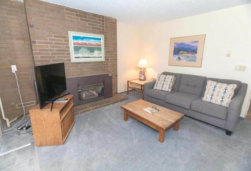 جناح سرير كينج, Grey Gull