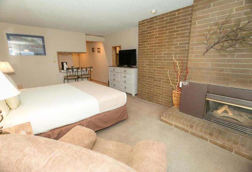 إستوديو قياسى سرير كينج, Grey Gull