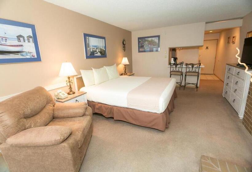 إستوديو قياسى سرير كينج, Grey Gull