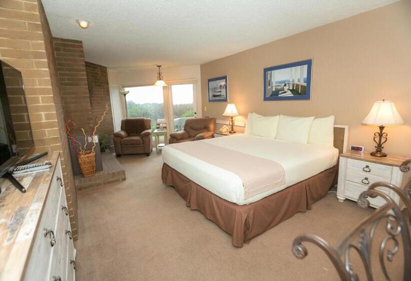 إستوديو قياسى سرير كينج, Grey Gull